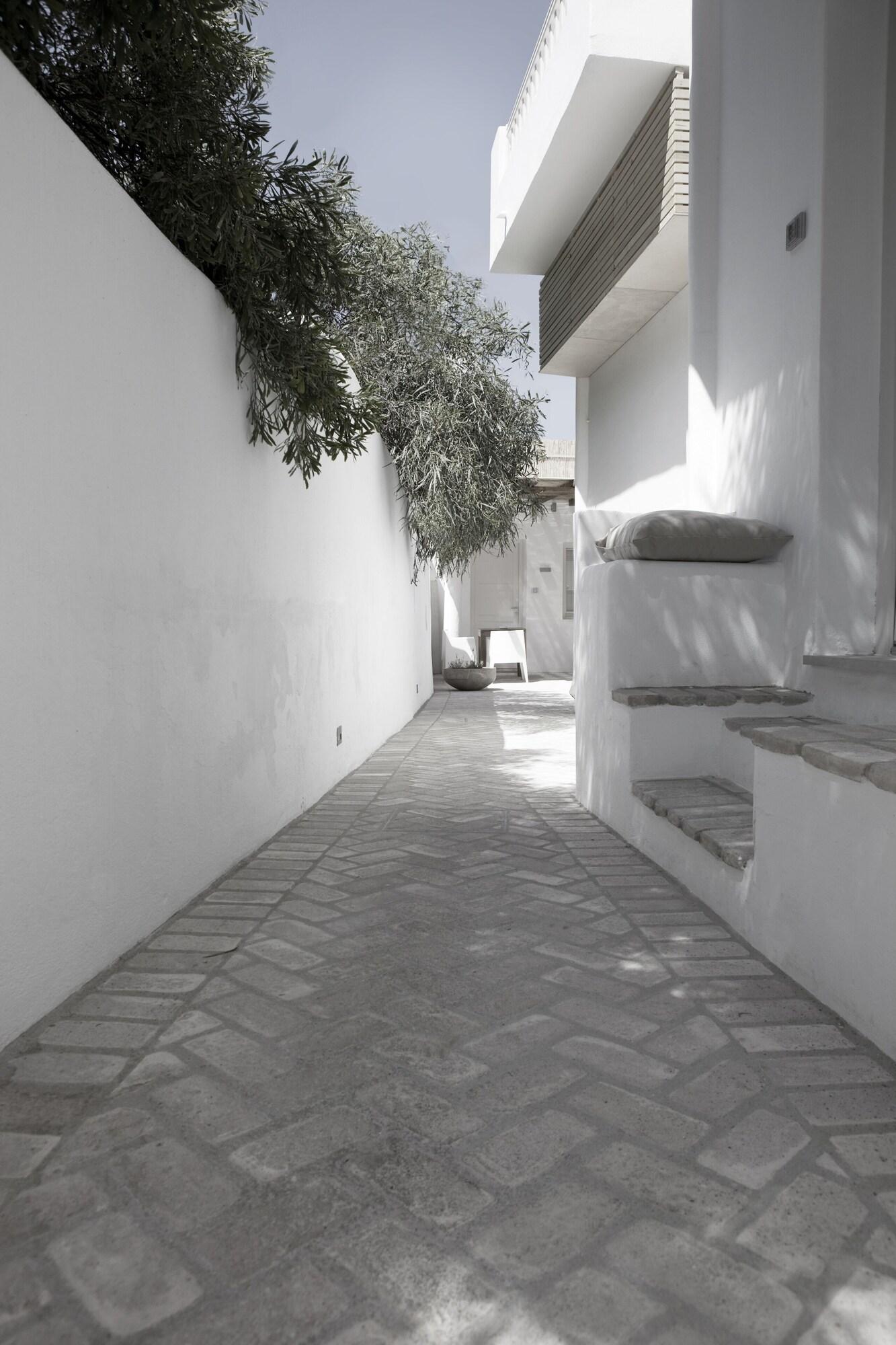 テラ マリア ホテル Mykonos Town エクステリア 写真